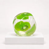 Coconut Oil Fruit Ball Squishy Toy — Kiwi