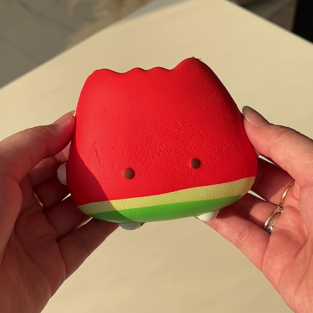 Nunu Adorable Mini Watermelon Squishy Toy
