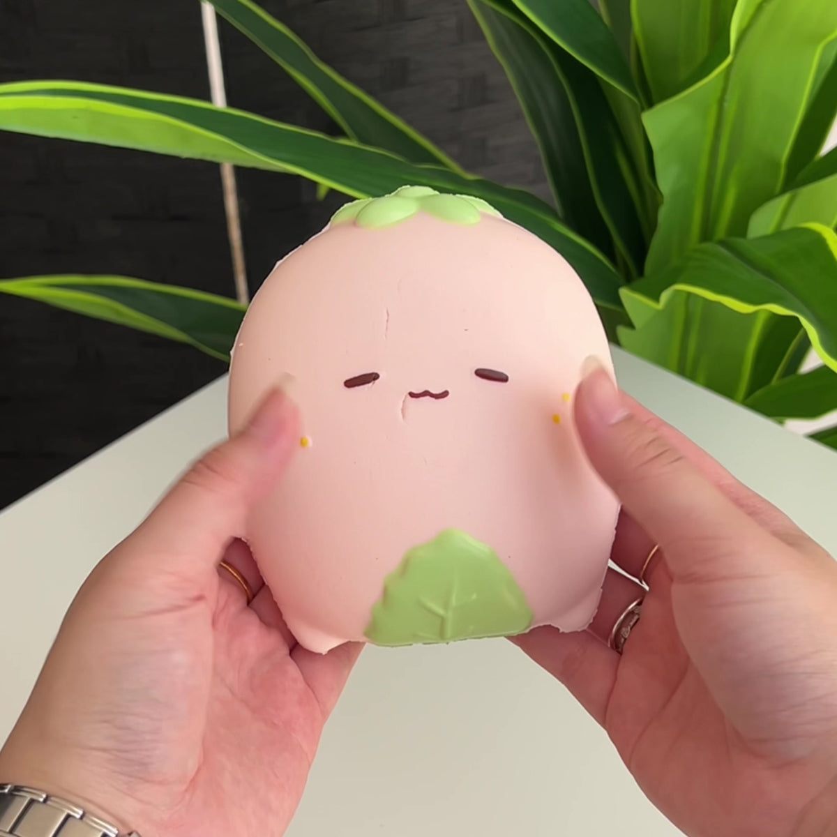 Nunu Flat Series Strawberry Squishy Fidget Toy